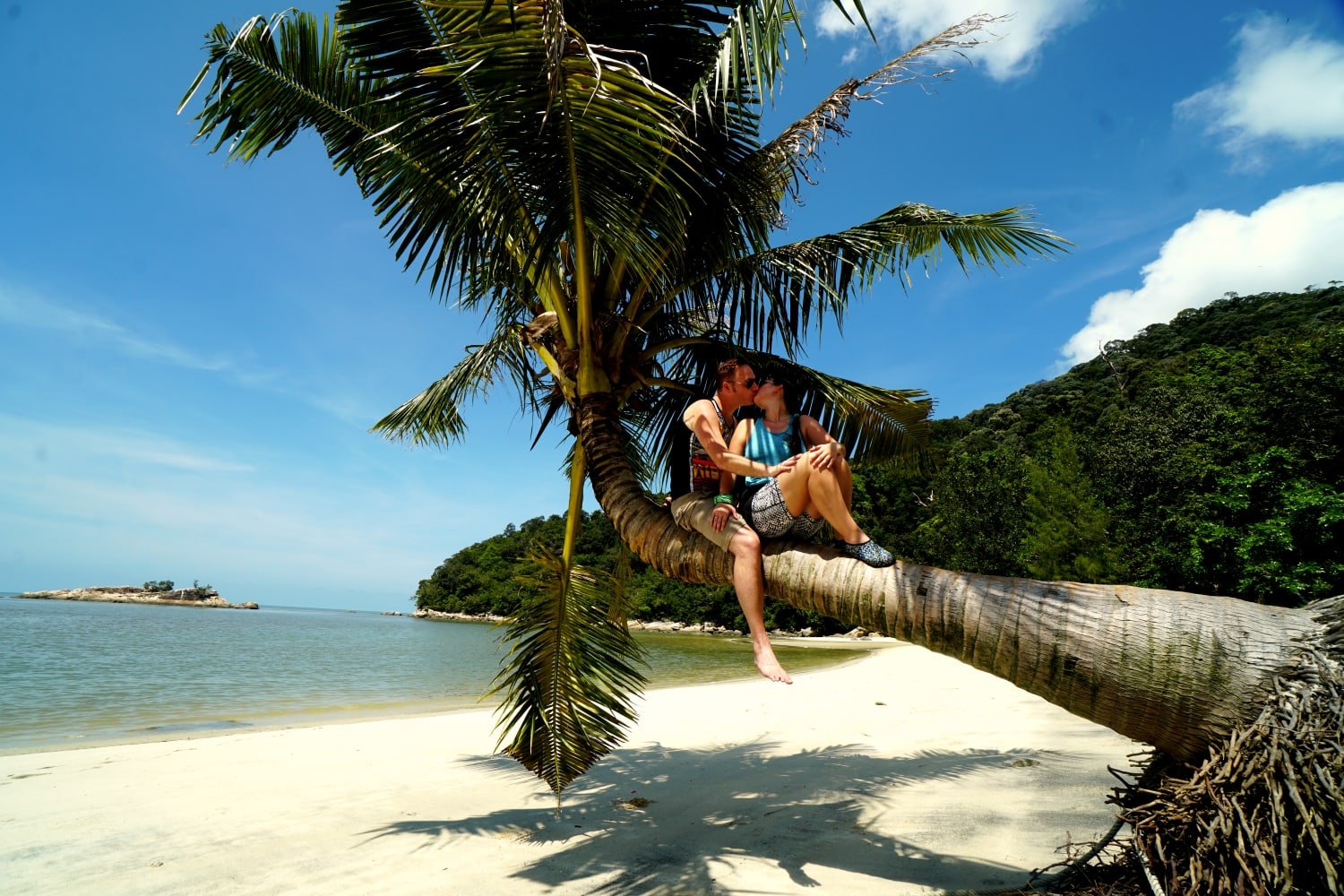 Penang Strand Palme