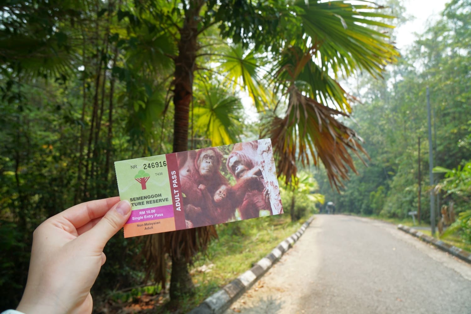 Semenggoh Wildlife Centre Ticket