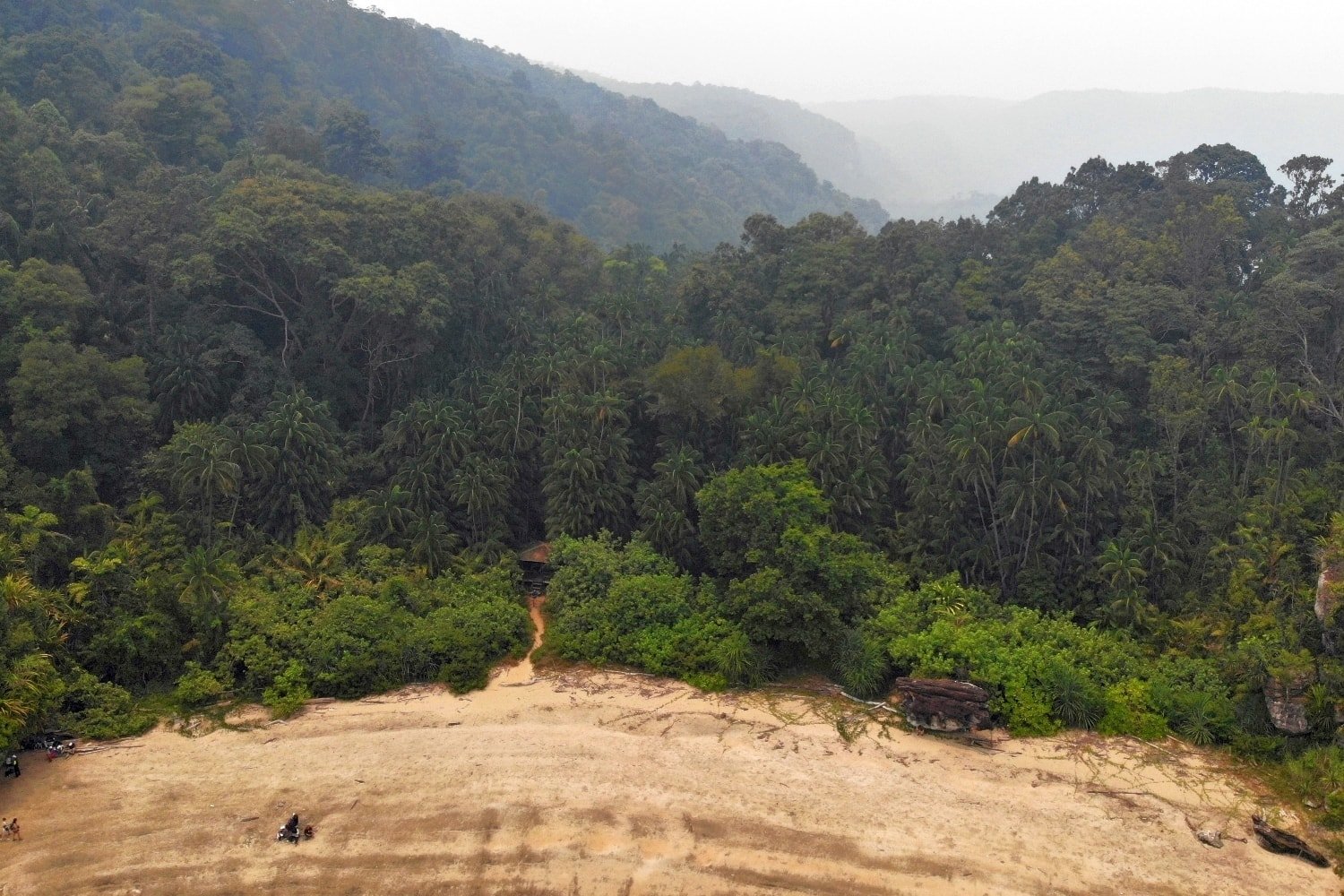 Telok Paku Trail