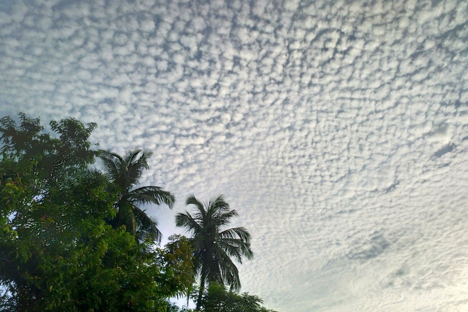 Schäfchenwolken über Pulau Weh