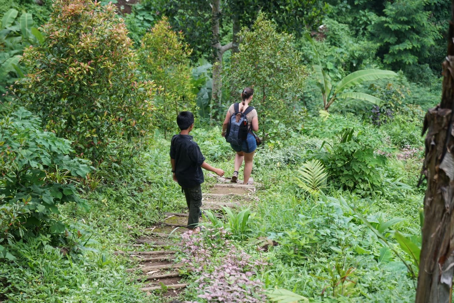 Tirta Buana Wasserfall Weg