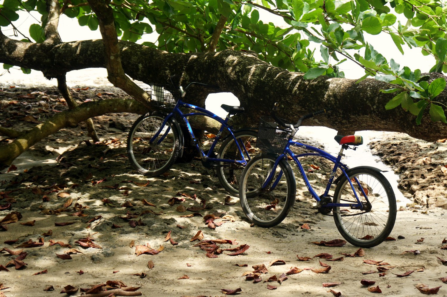 Fahrrad mieten in Puerto Viejo