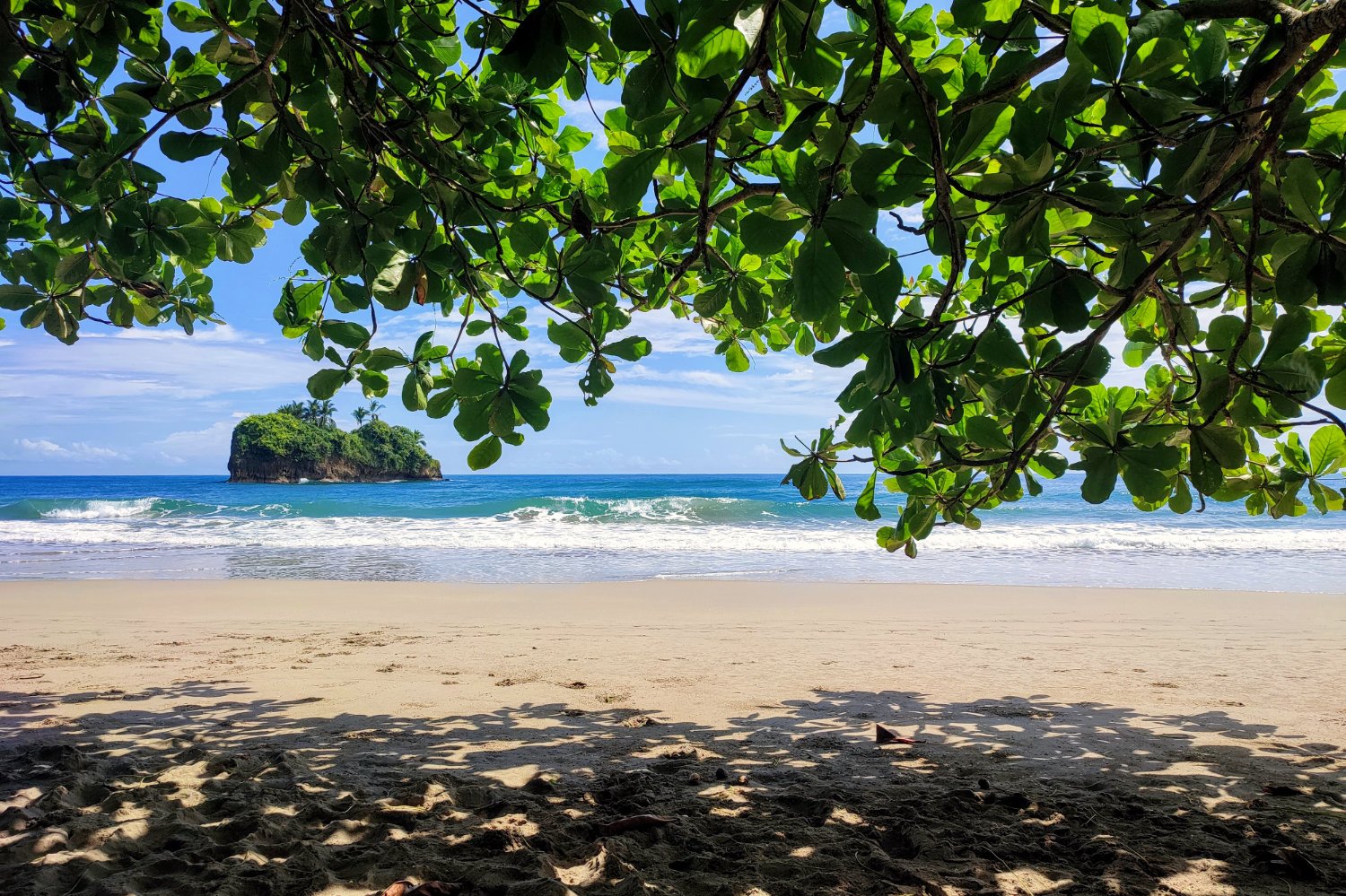 Playa Cocles in Puerto Viejo