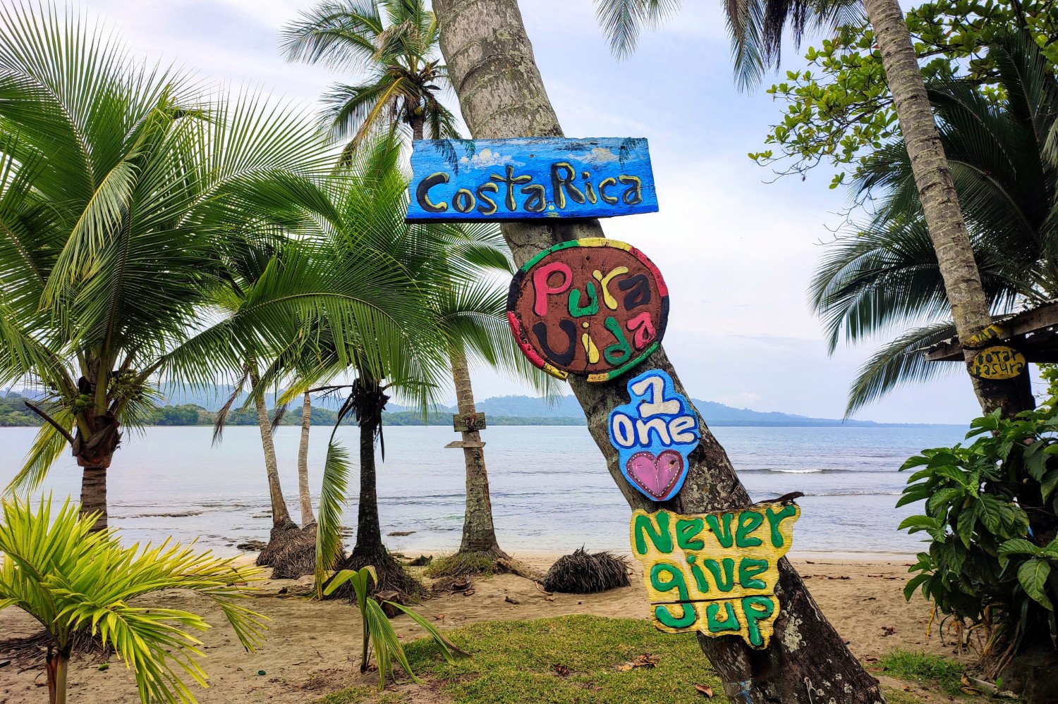 Pura Vida in Puerto Viejo